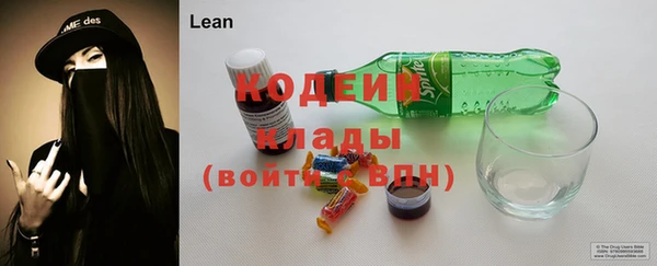 бошки Бородино