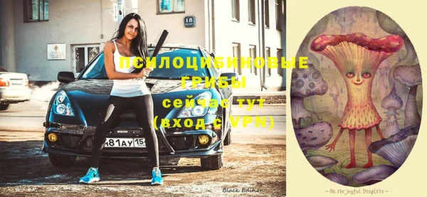 apvp Бронницы