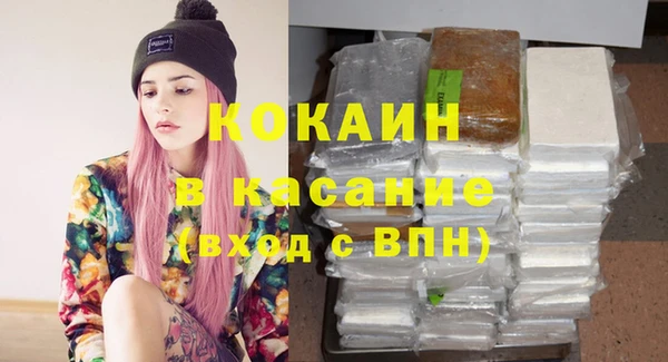 бошки Бородино