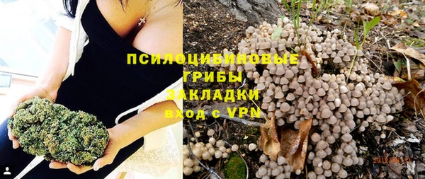 apvp Бронницы