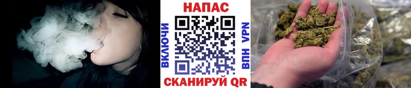 Каннабис семена Моршанск